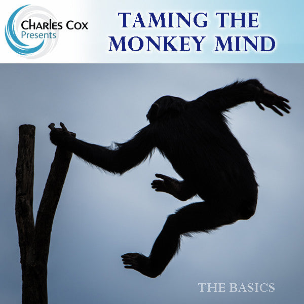 Fundamentals of Meditation